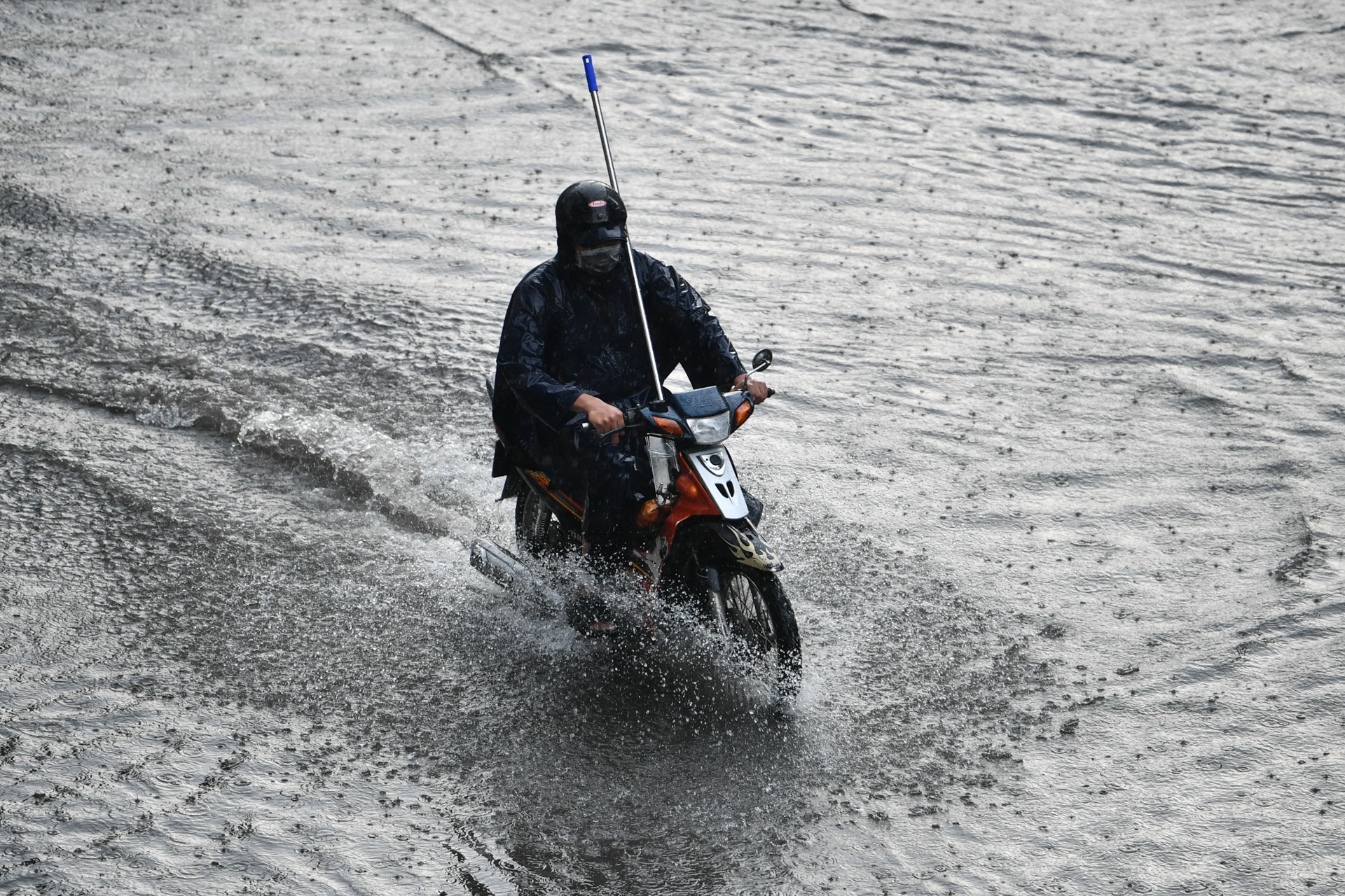 mua lon TP.HCM anh 6