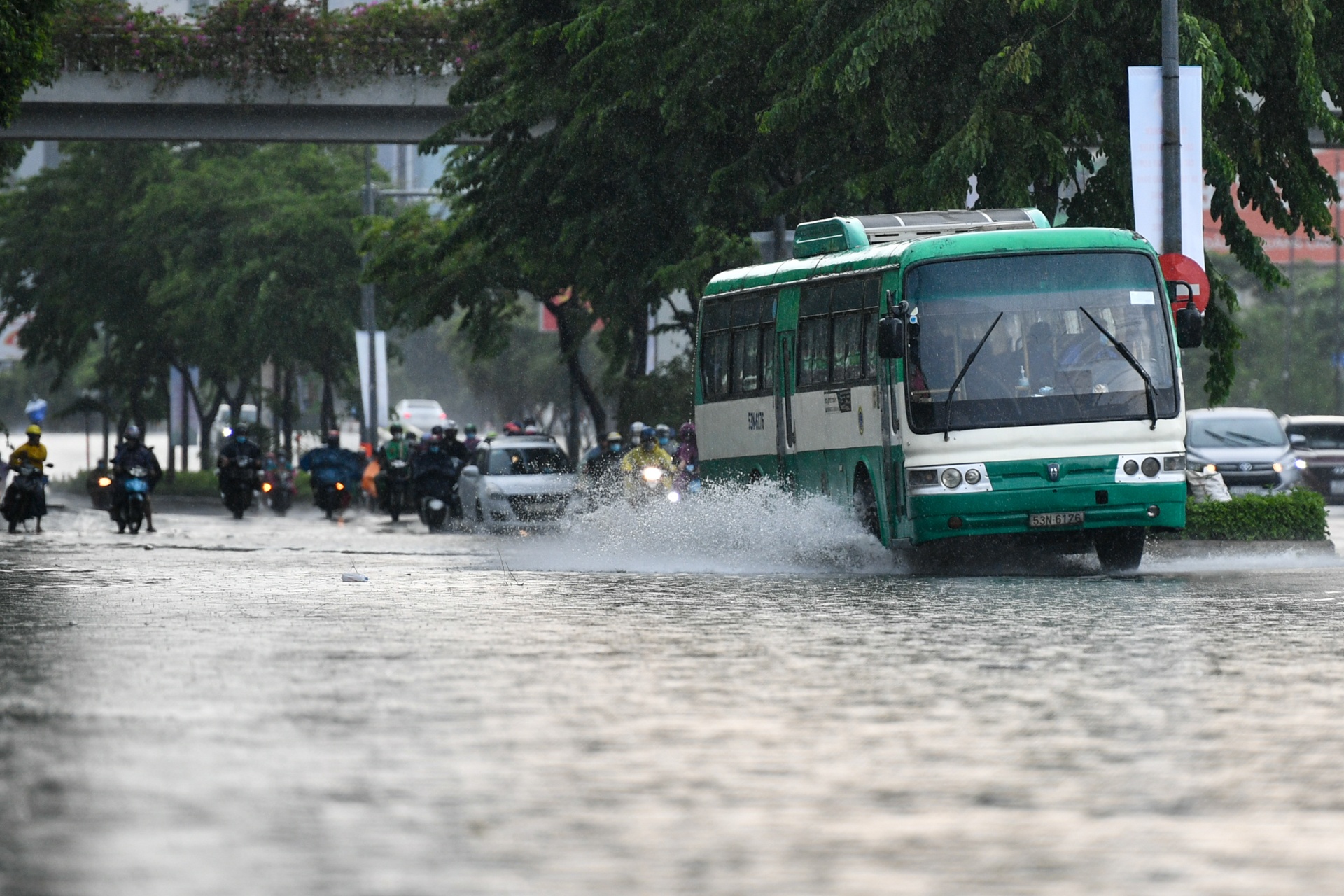 mua lon TP.HCM anh 2