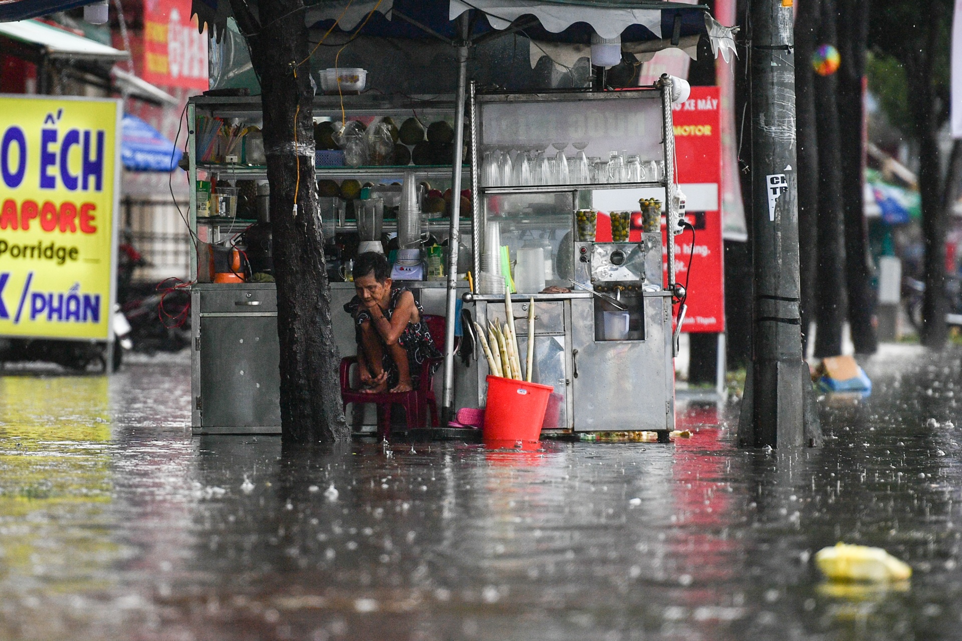 mua lon TP.HCM anh 8