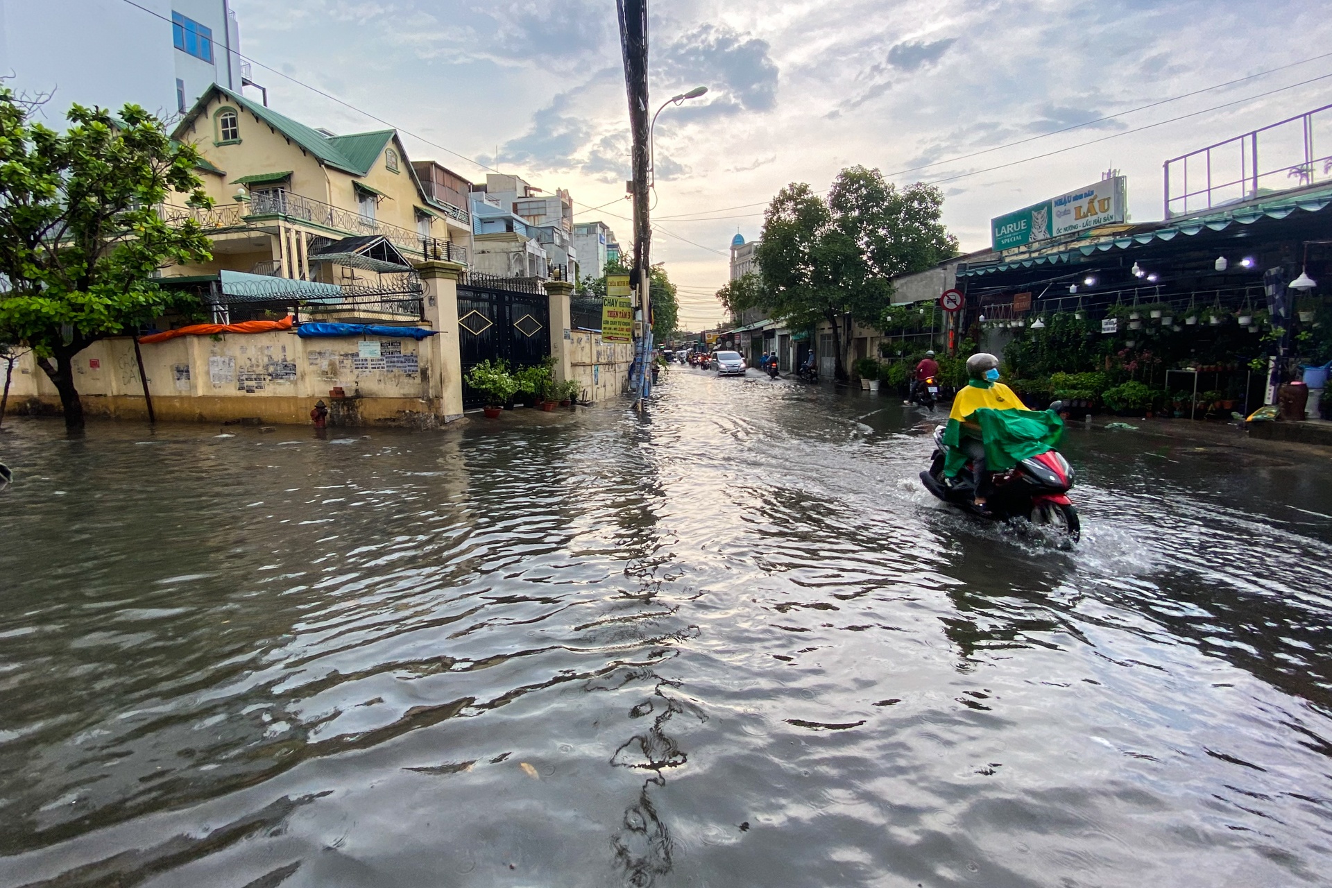 mua lon TP.HCM anh 7