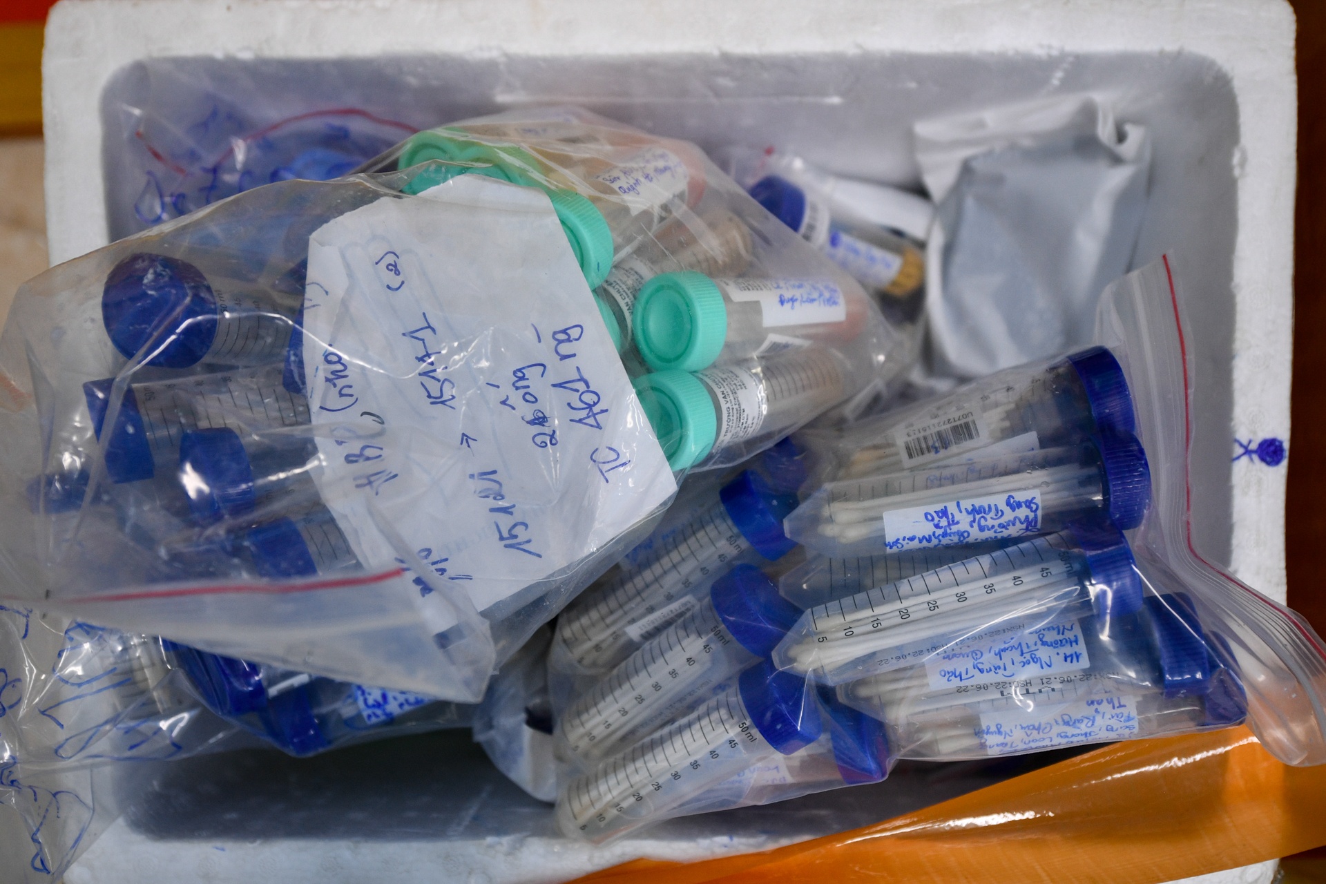 xet nghiem toan dan TP.HCM anh 35