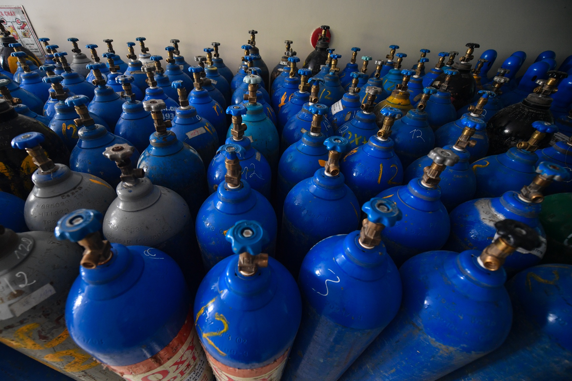 benh vien da chien TP.HCM anh 5