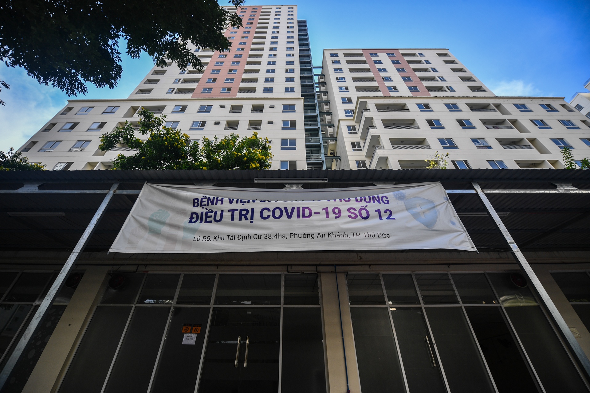 mắc Covid-19 nhiễm Omicron ở Việt Nam ảnh 1 mac Covid-19 nhiem Omicron o Viet Nam anh 1