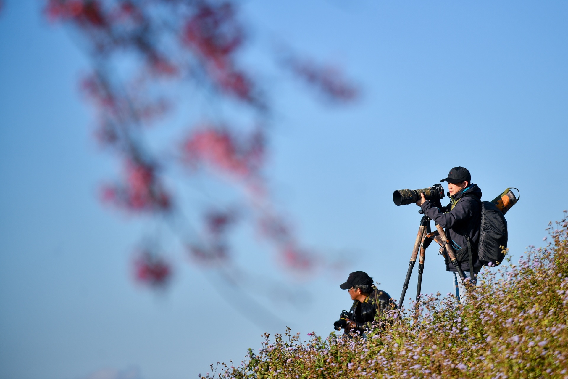 mua hoa Da Lat anh 20