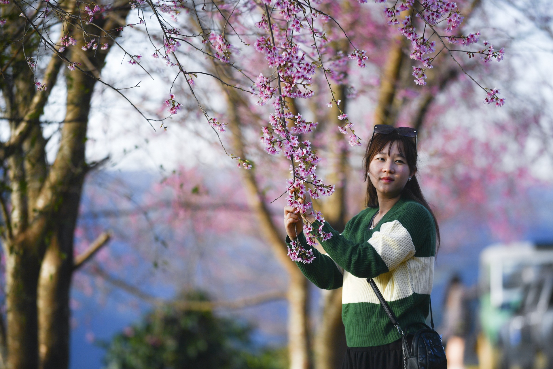 mua hoa Da Lat anh 25