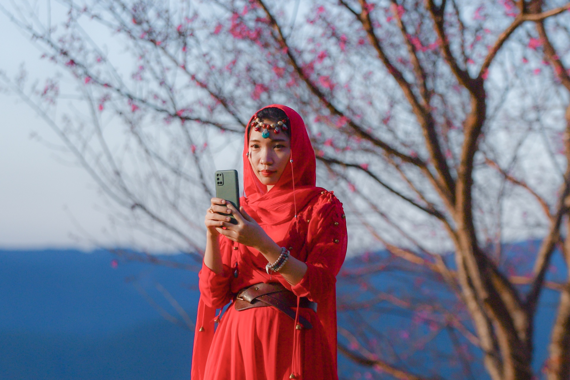 Mai anh dao no ro khap Da Lat trong thoi tiet 14 do C hinh anh