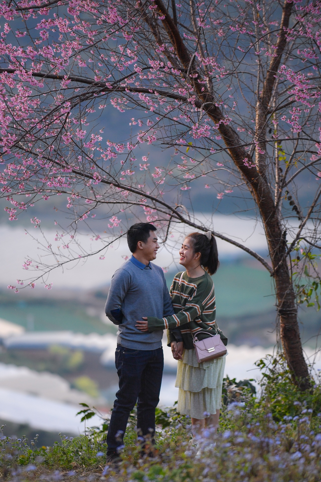 mua hoa Da Lat anh 17