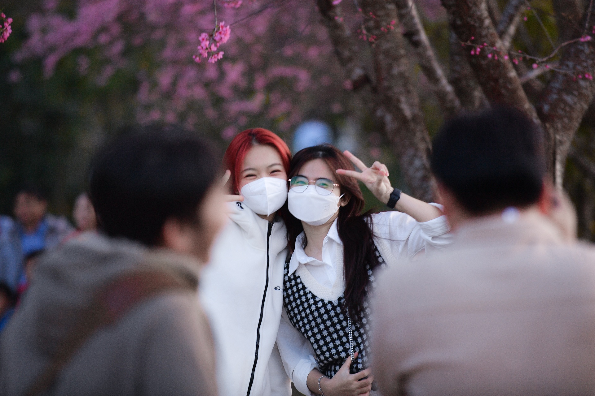 mua hoa Da Lat anh 23