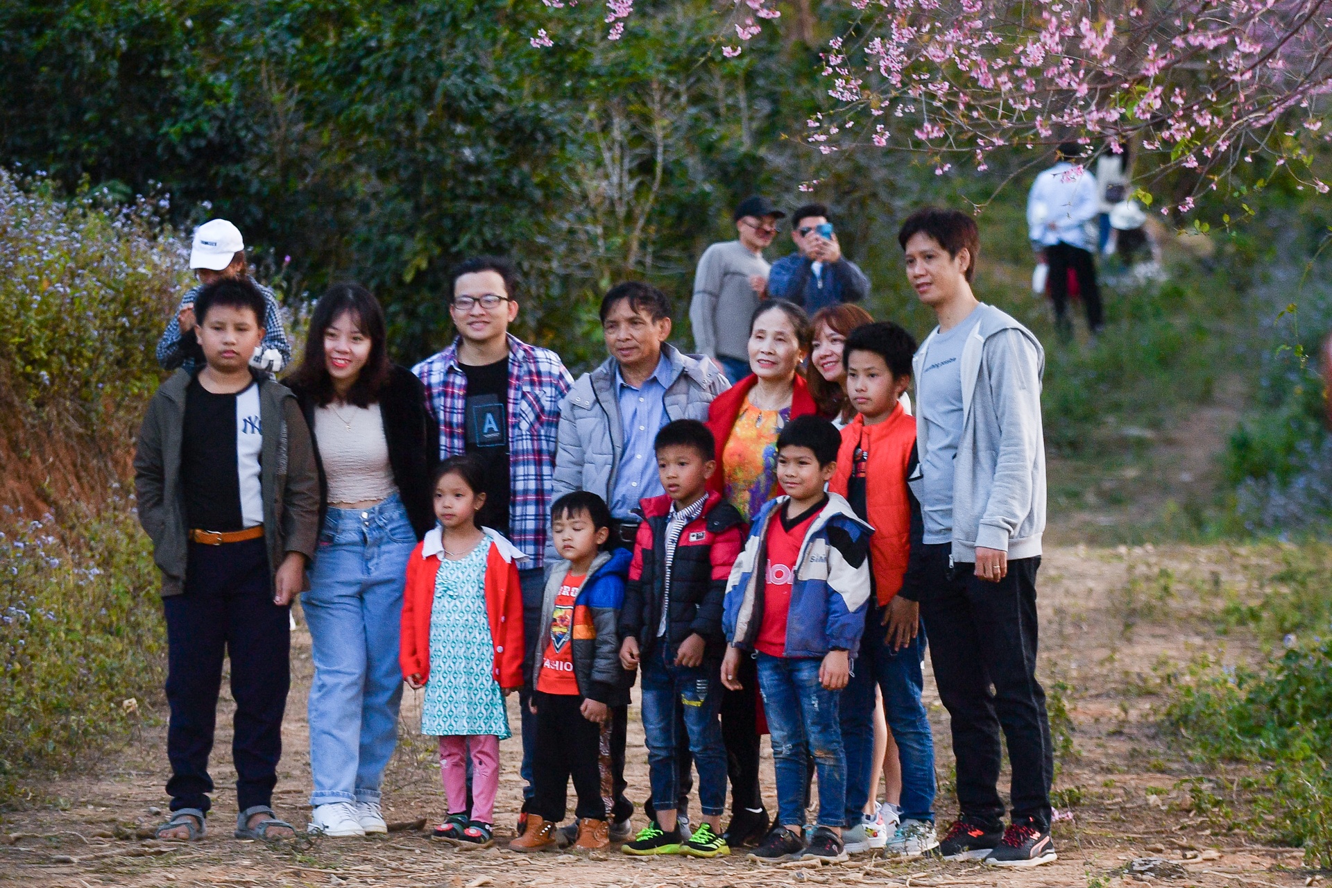 mua hoa Da Lat anh 24