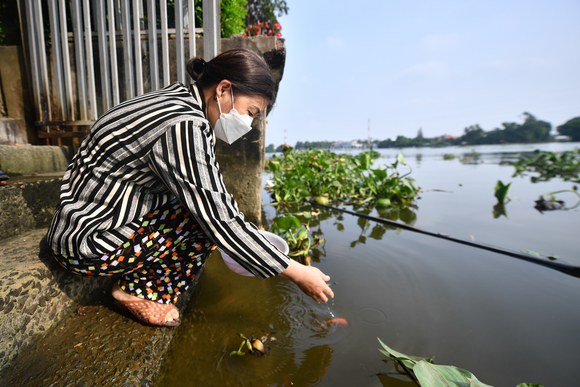 tha ca chep ong Tao anh 3