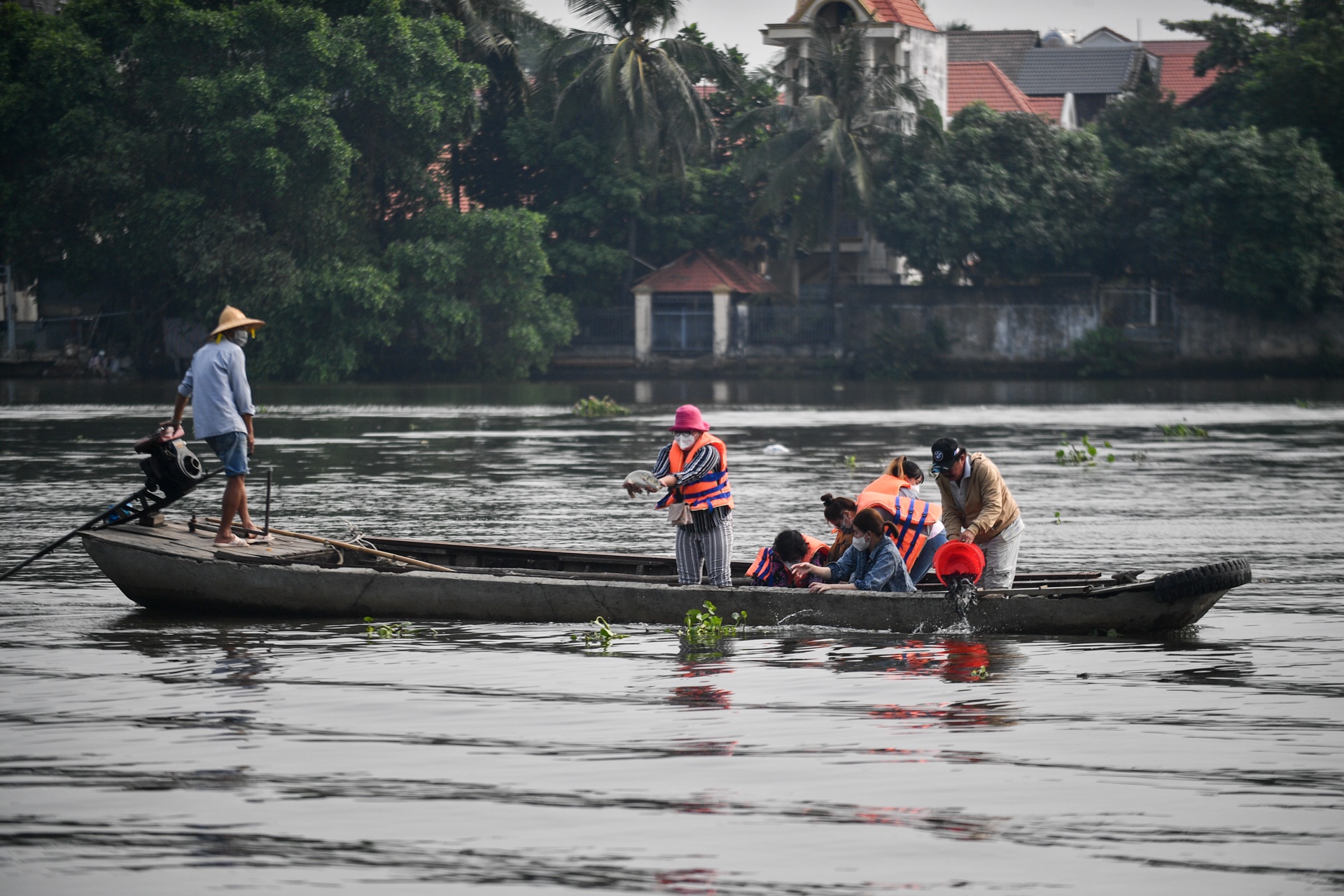 tha ca chep ong Tao anh 6