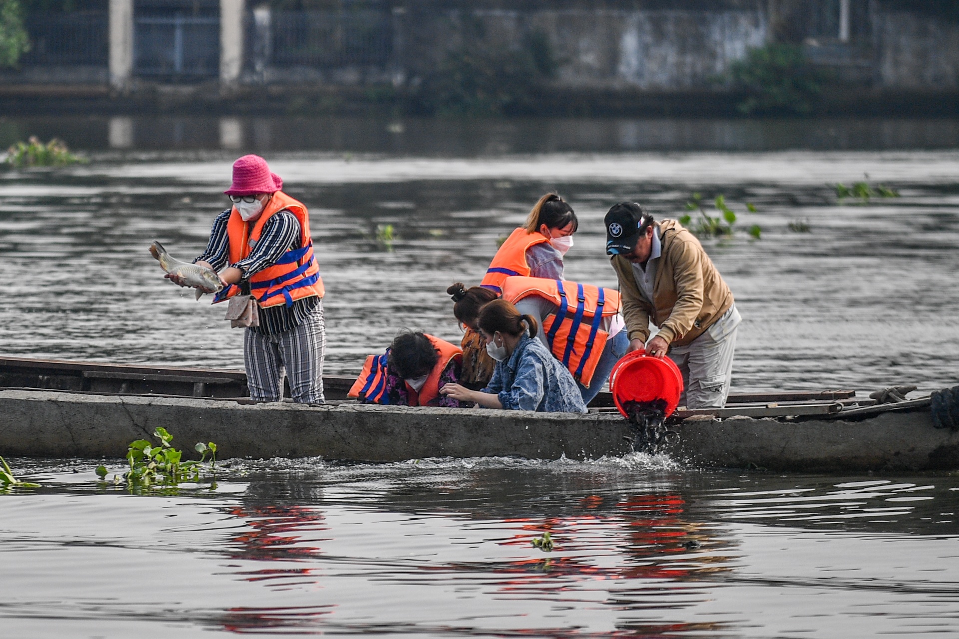 Nguoi dan TP.HCM ra giua song tha ca chep hinh anh