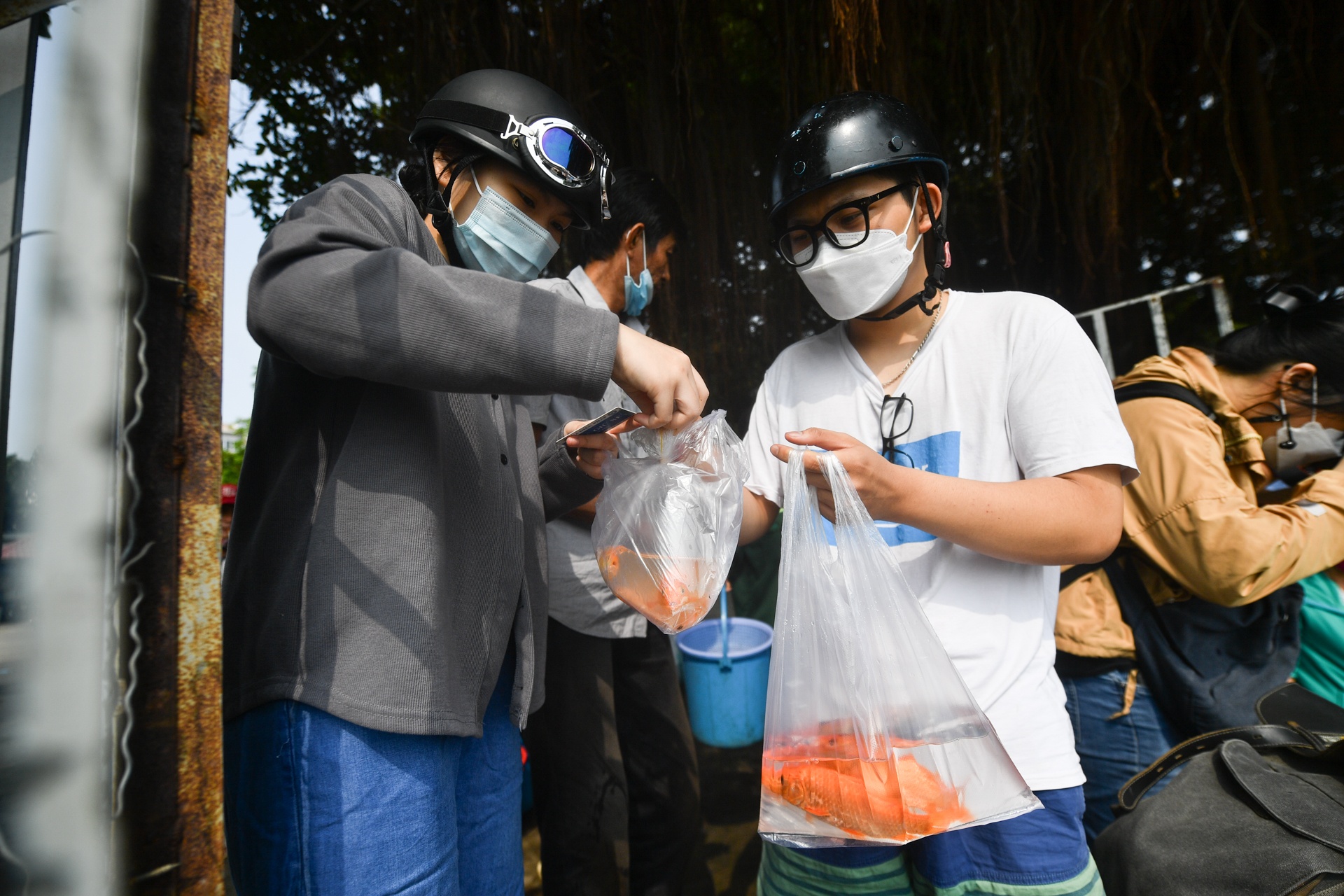 tha ca chep ong Tao anh 1