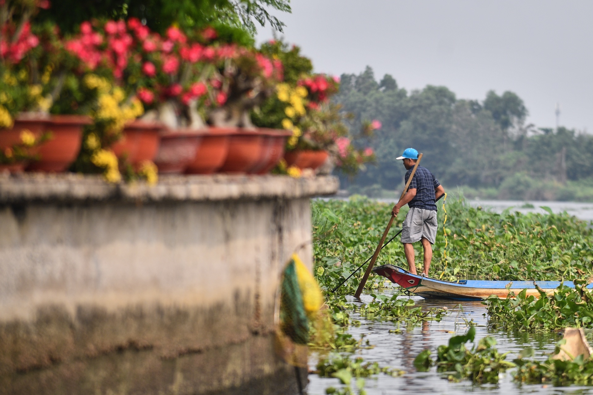 tha ca chep ong Tao anh 9