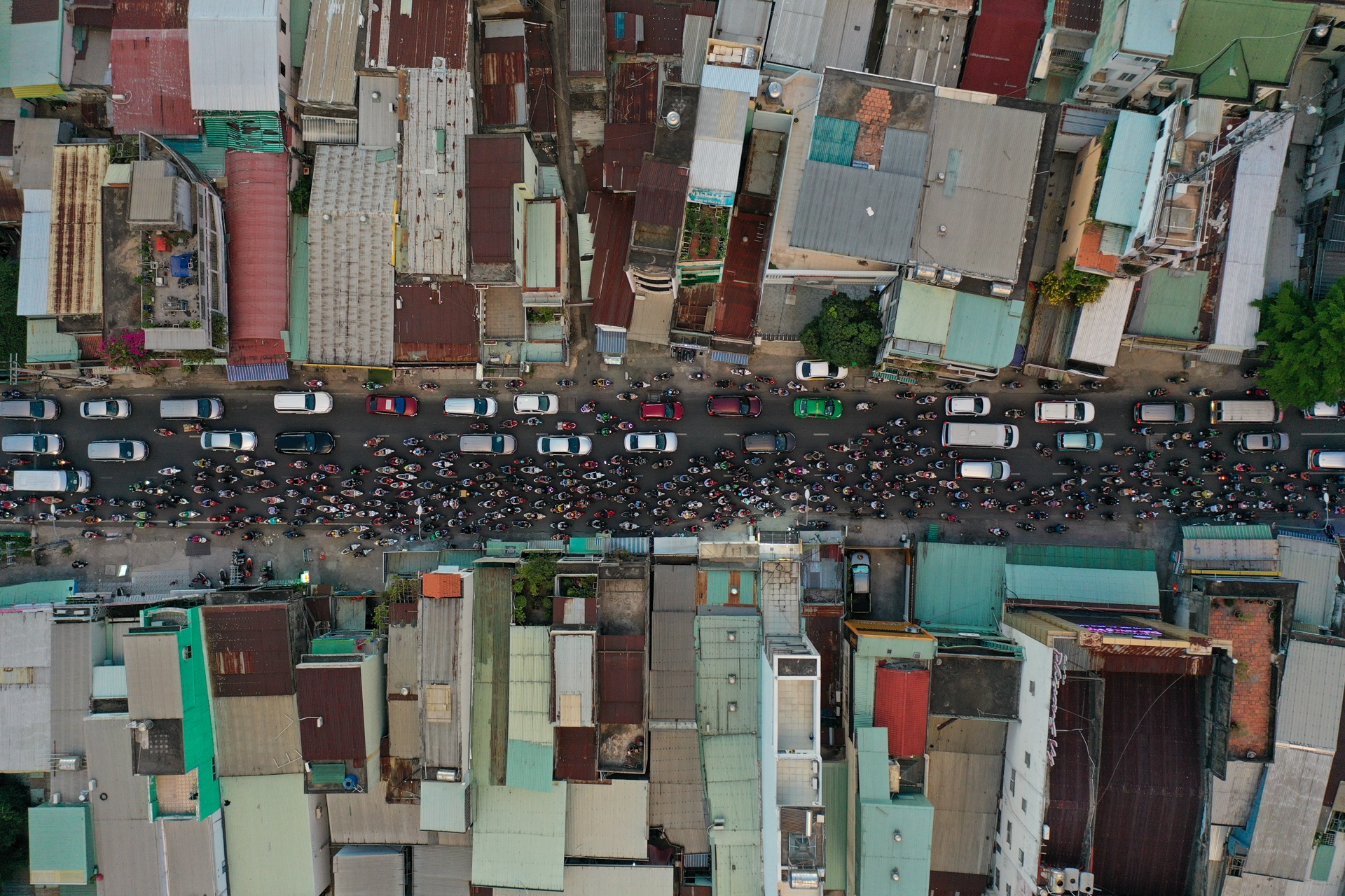 ket xe ngay hoc sinh di hoc anh 2