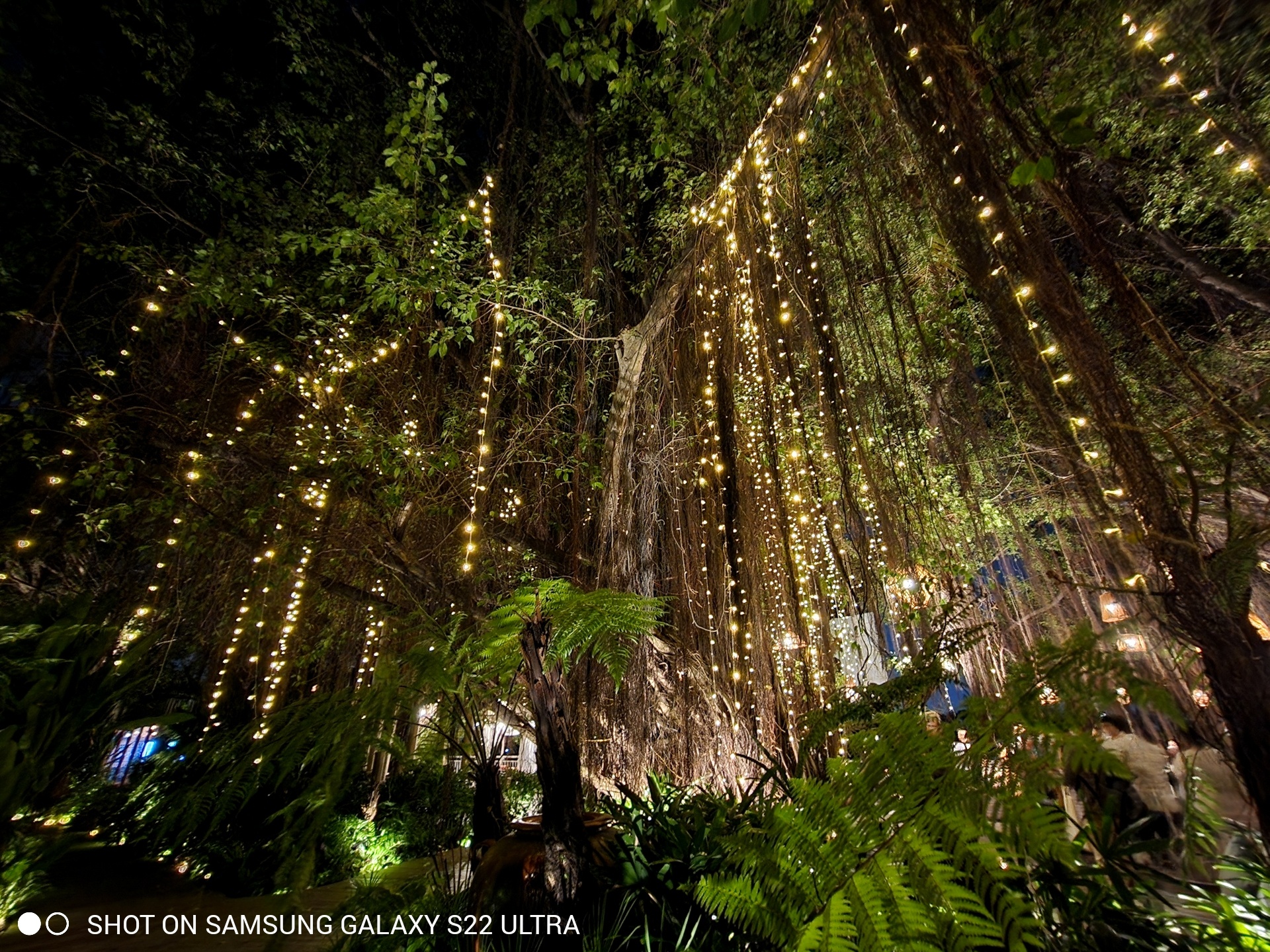 S22 Ultra chup dem anh 32