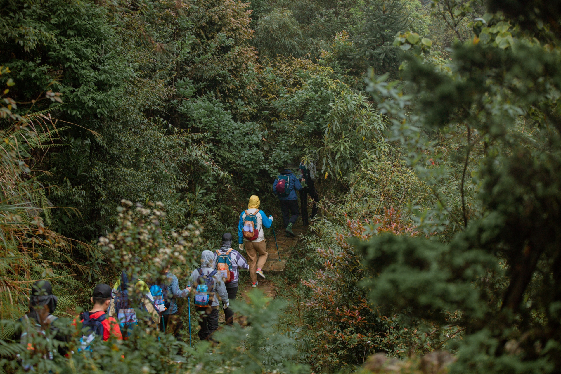 Zalo ảnh 4 Zalo anh 4