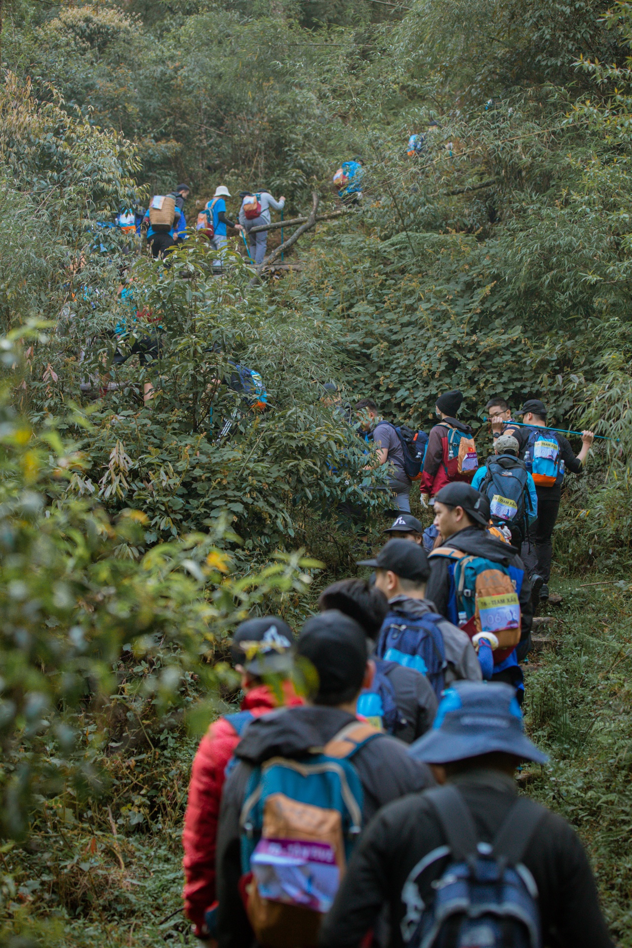 Zalo ảnh 22 Zalo anh 22