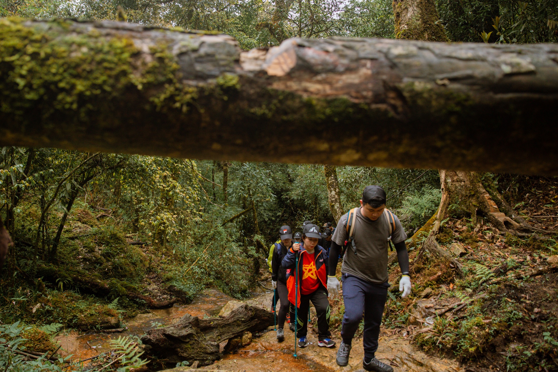 Zalo ảnh 25 Zalo anh 25