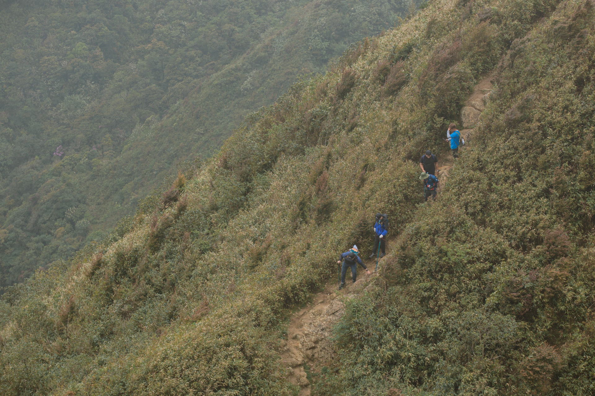 Zalo ảnh 5 Zalo anh 5