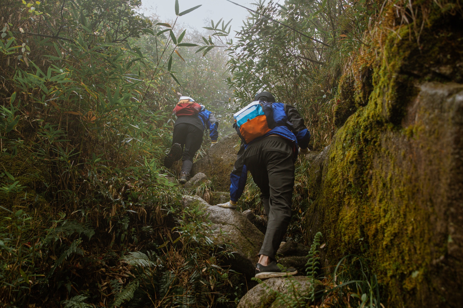 Zalo ảnh 6 Zalo anh 6