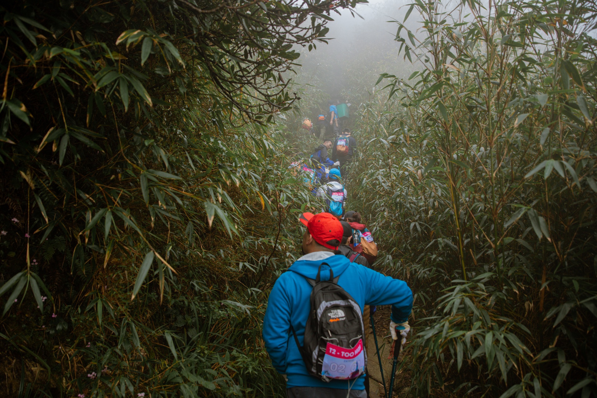 Zalo ảnh 10 Zalo anh 10