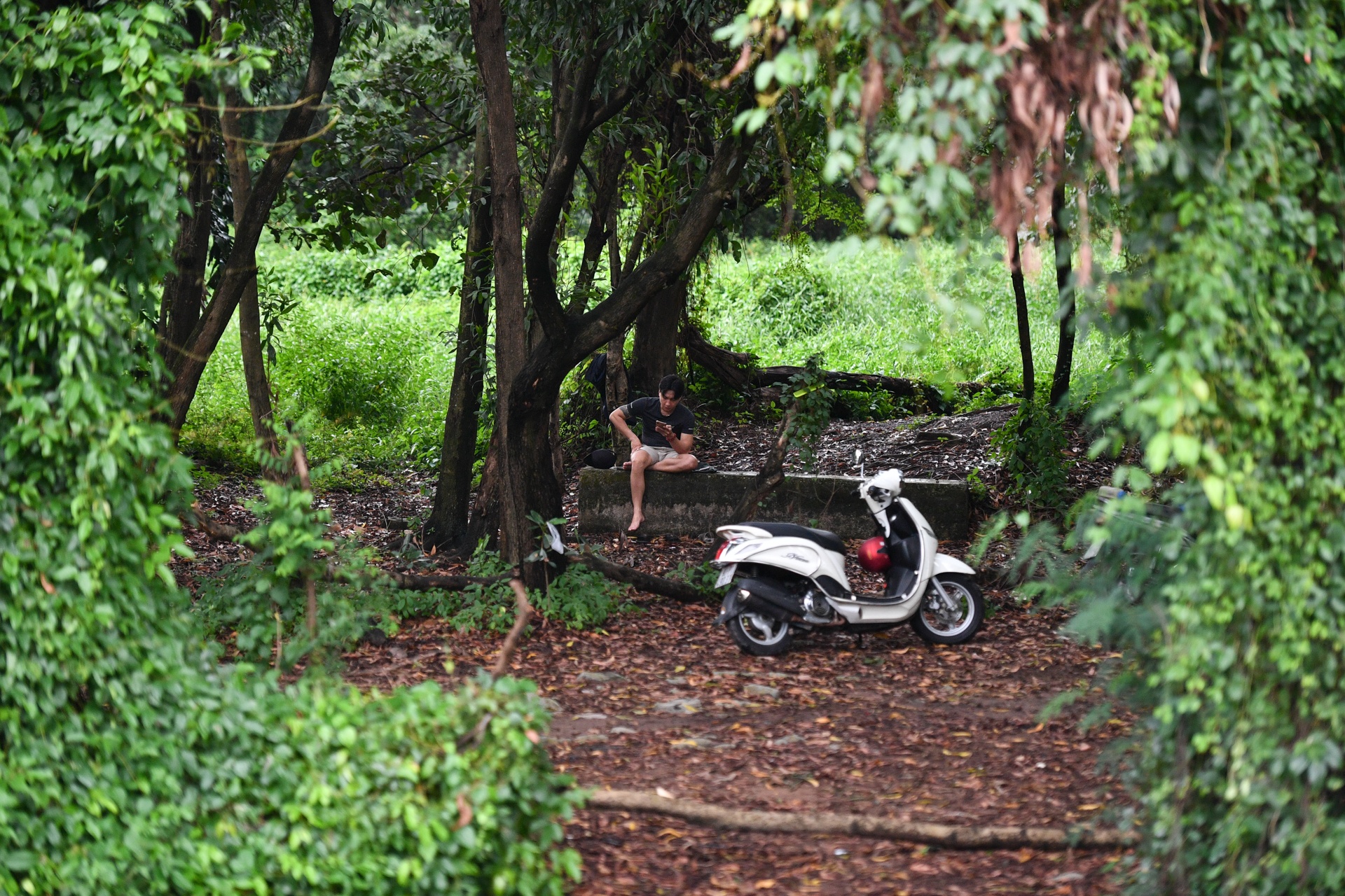 cong vien dang do tai TP.HCM anh 10