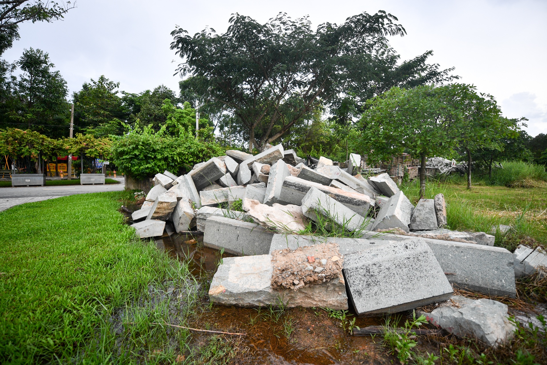 cong vien dang do tai TP.HCM anh 6