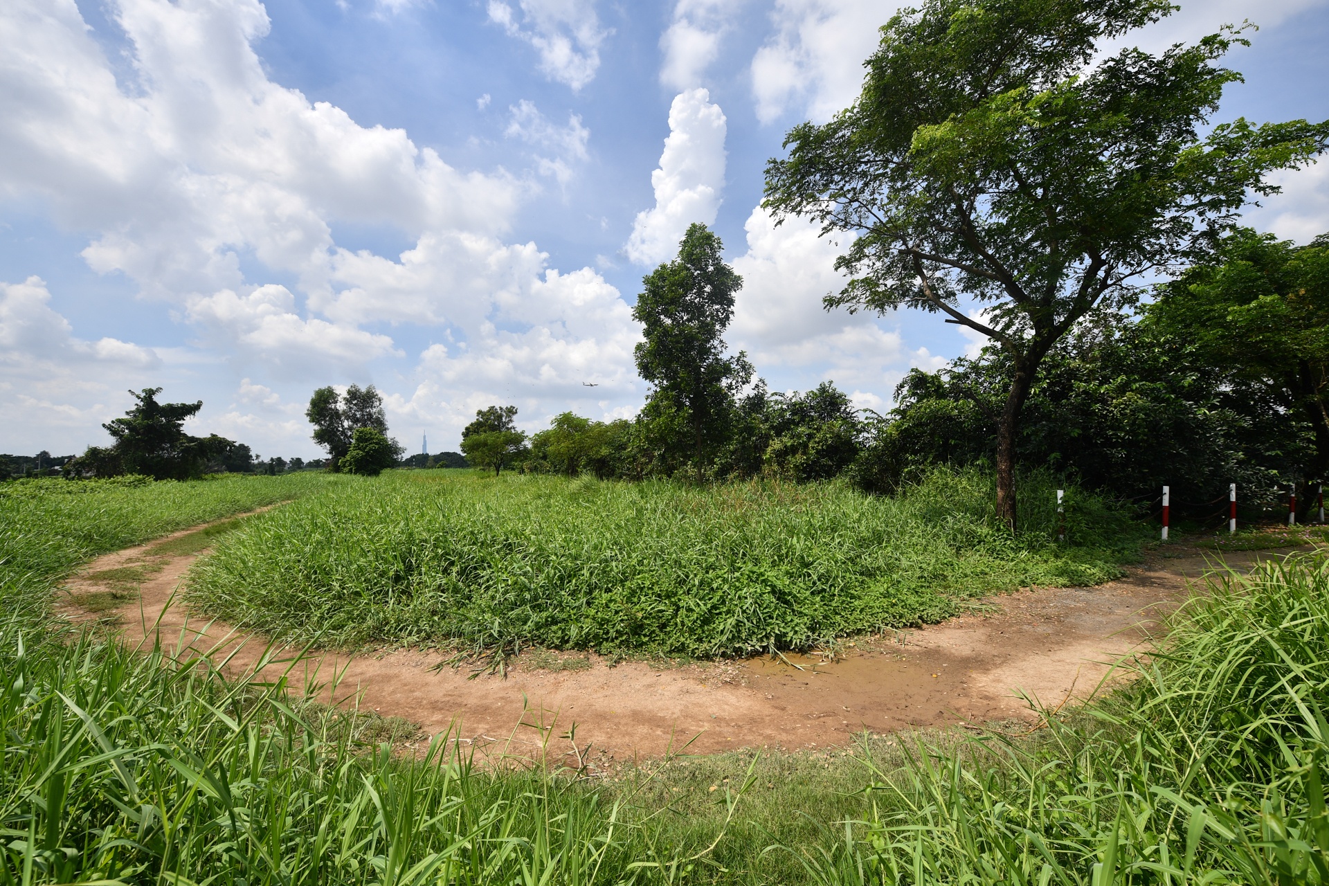 cong vien dang do tai TP.HCM anh 8