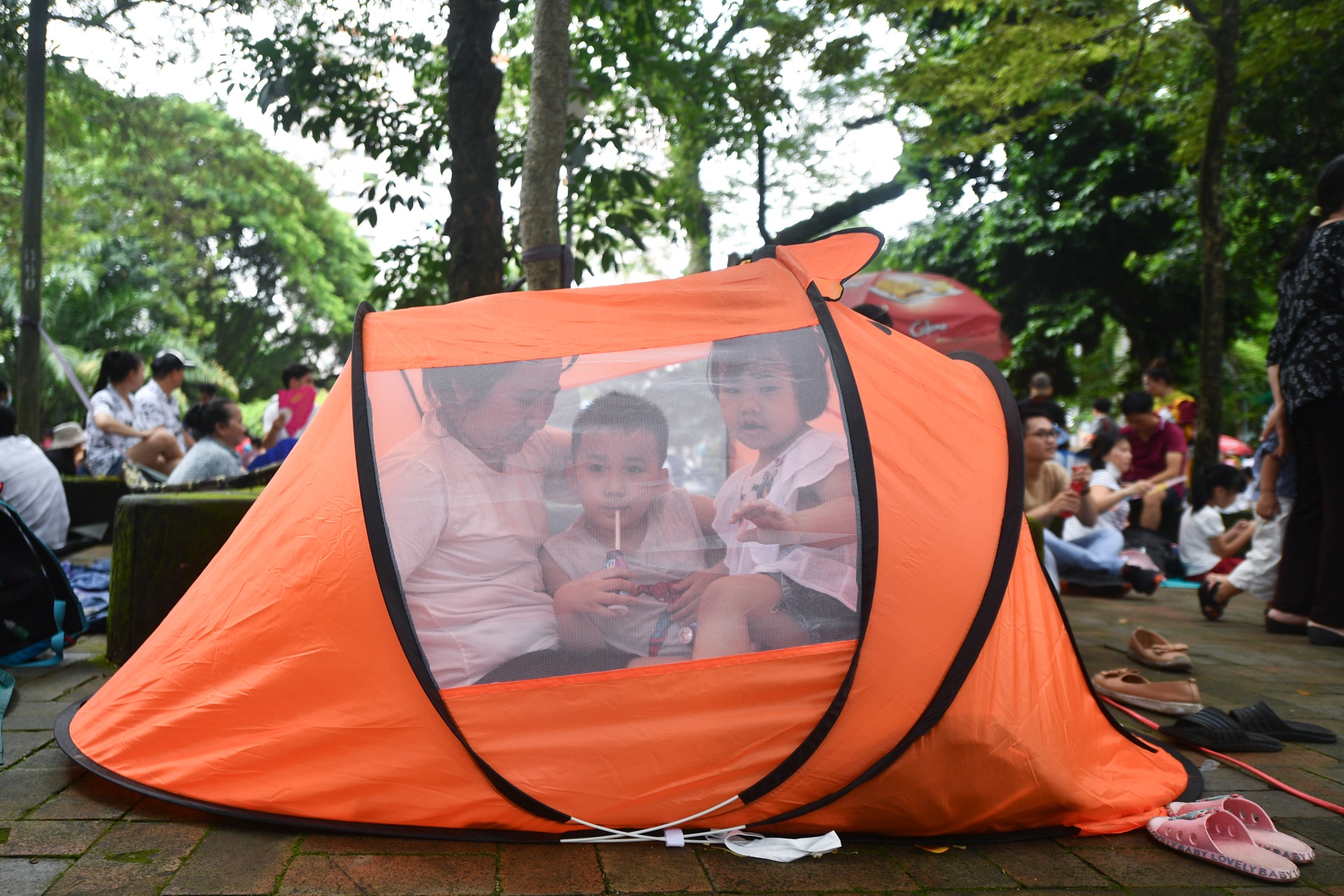 Thao Cam Vien,  TP.HCM,  nghi le 2/9,  cam trai anh 2