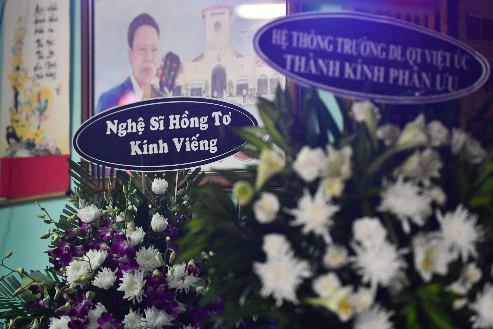 nhac si Vinh Su mat anh 8