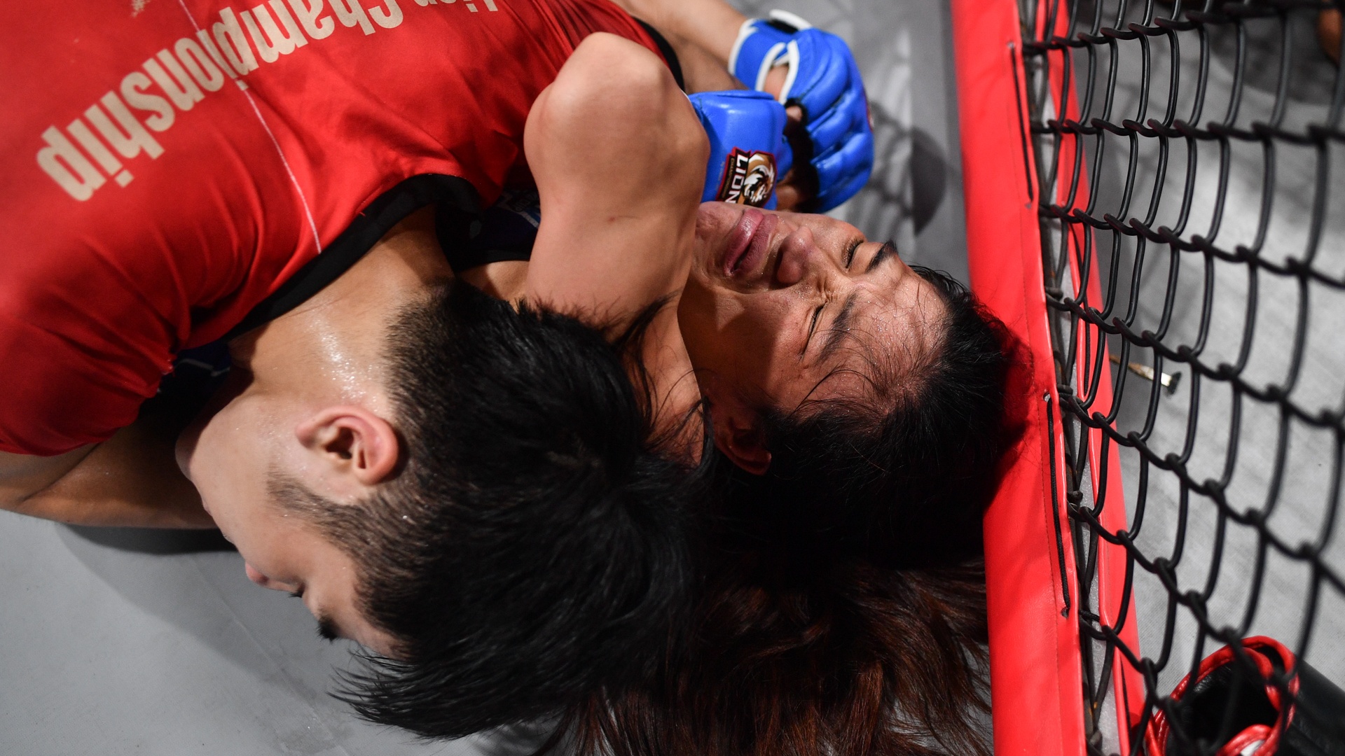 tập luyện giải MMA ảnh 7 tap luyen giai MMA anh 7