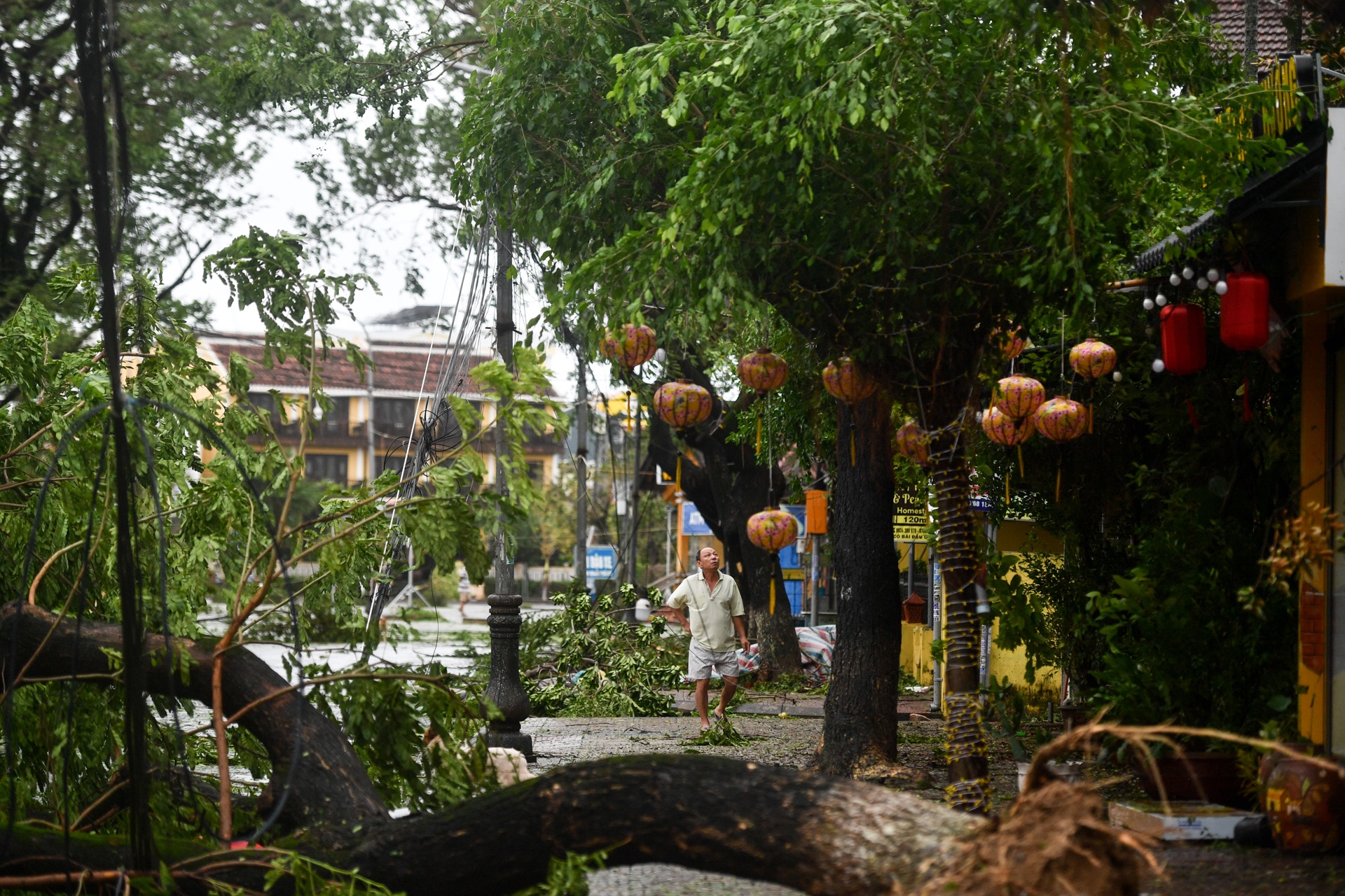 bao Noru vao Hoi An anh 2