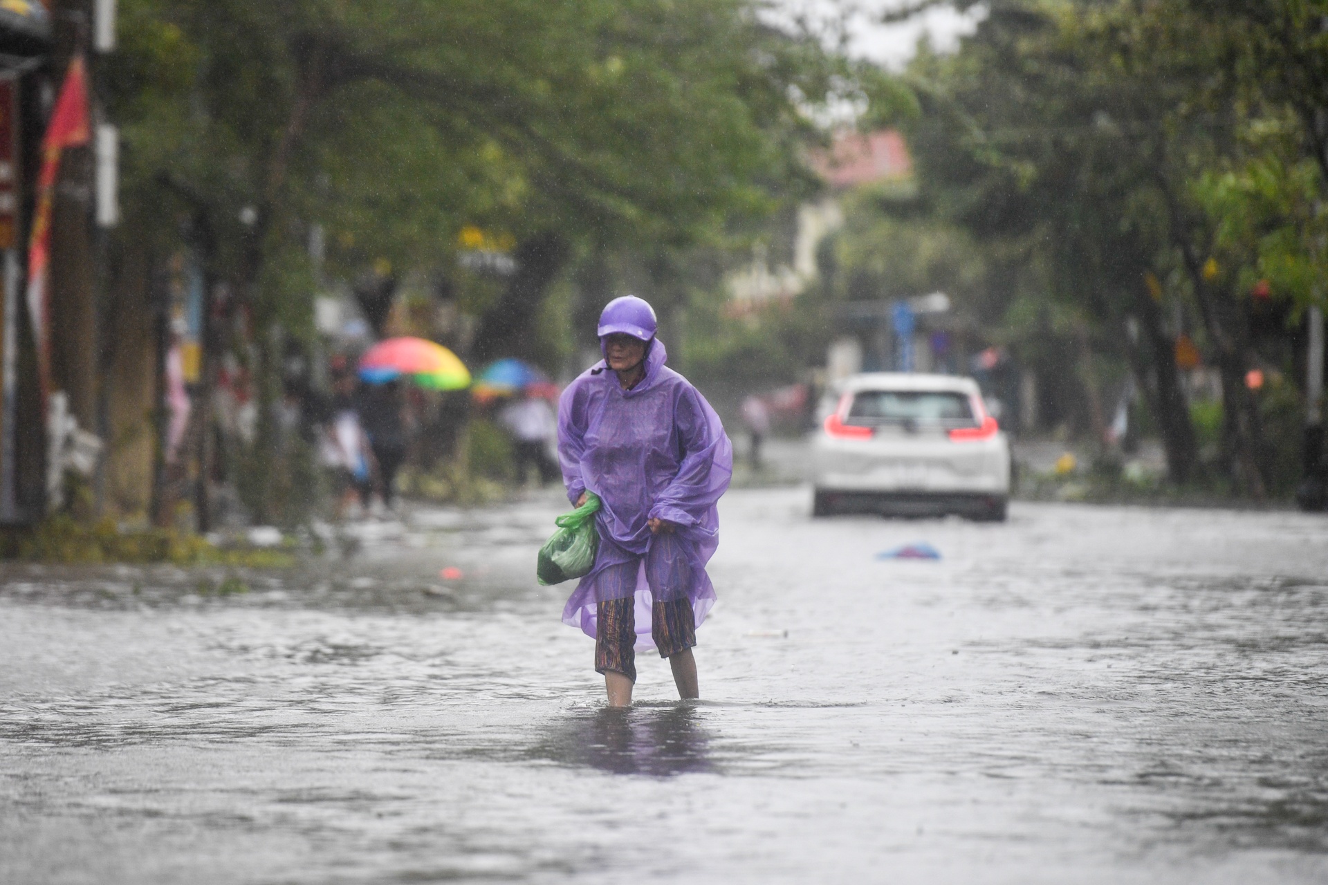 bao Noru vao Hoi An anh 1