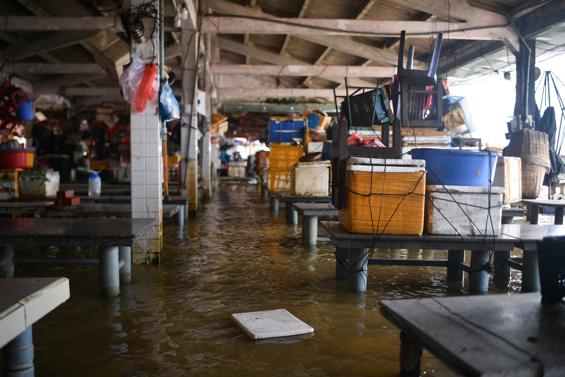 Bao Noru vao Hoi An anh 3