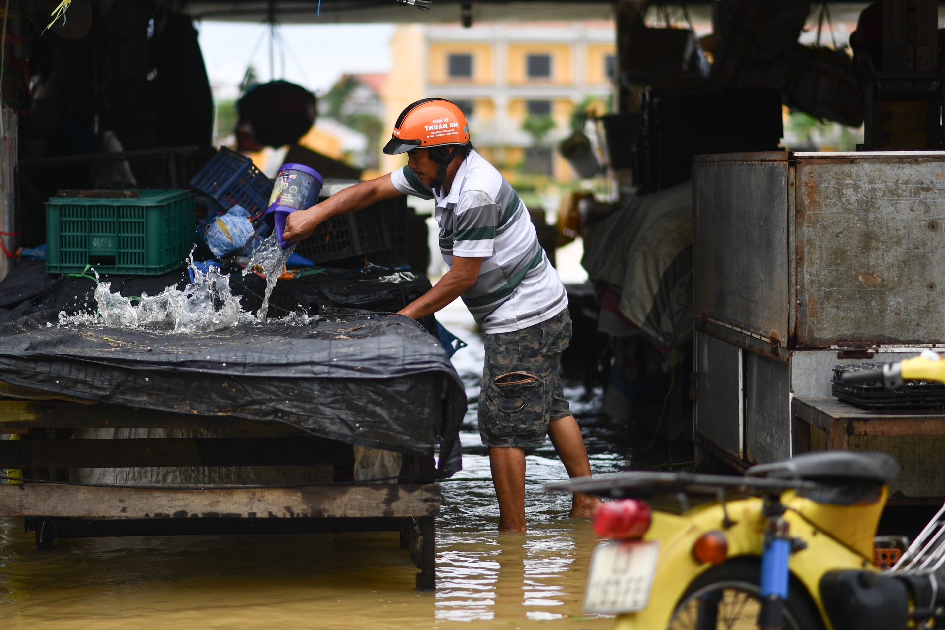 Bao Noru vao Hoi An anh 10