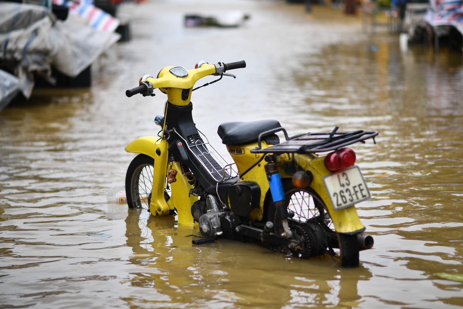 Bao Noru vao Hoi An anh 5