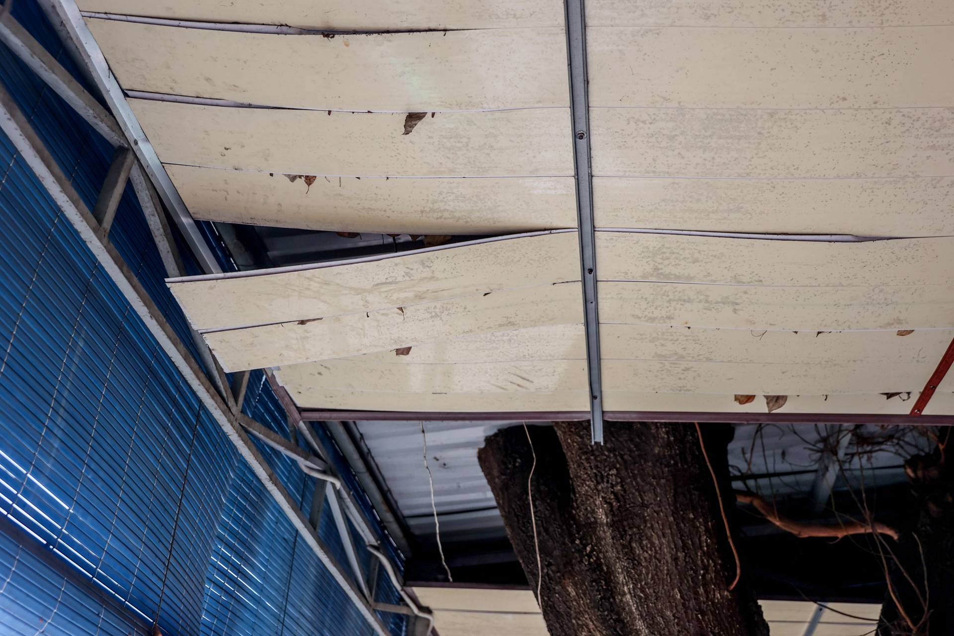 benh vien xuong cap TP.HCM anh 11