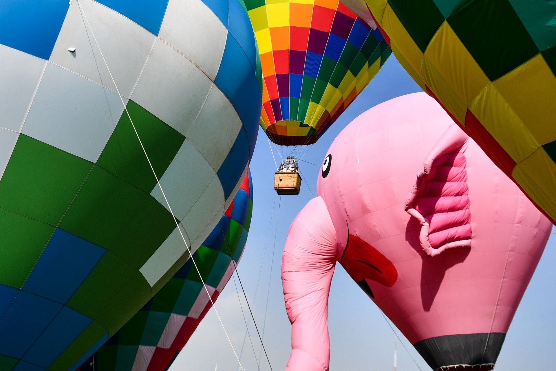 Nguoi dan TP.HCM ngam va trai nghiem bay khinh khi cau cuoi tuan hinh anh