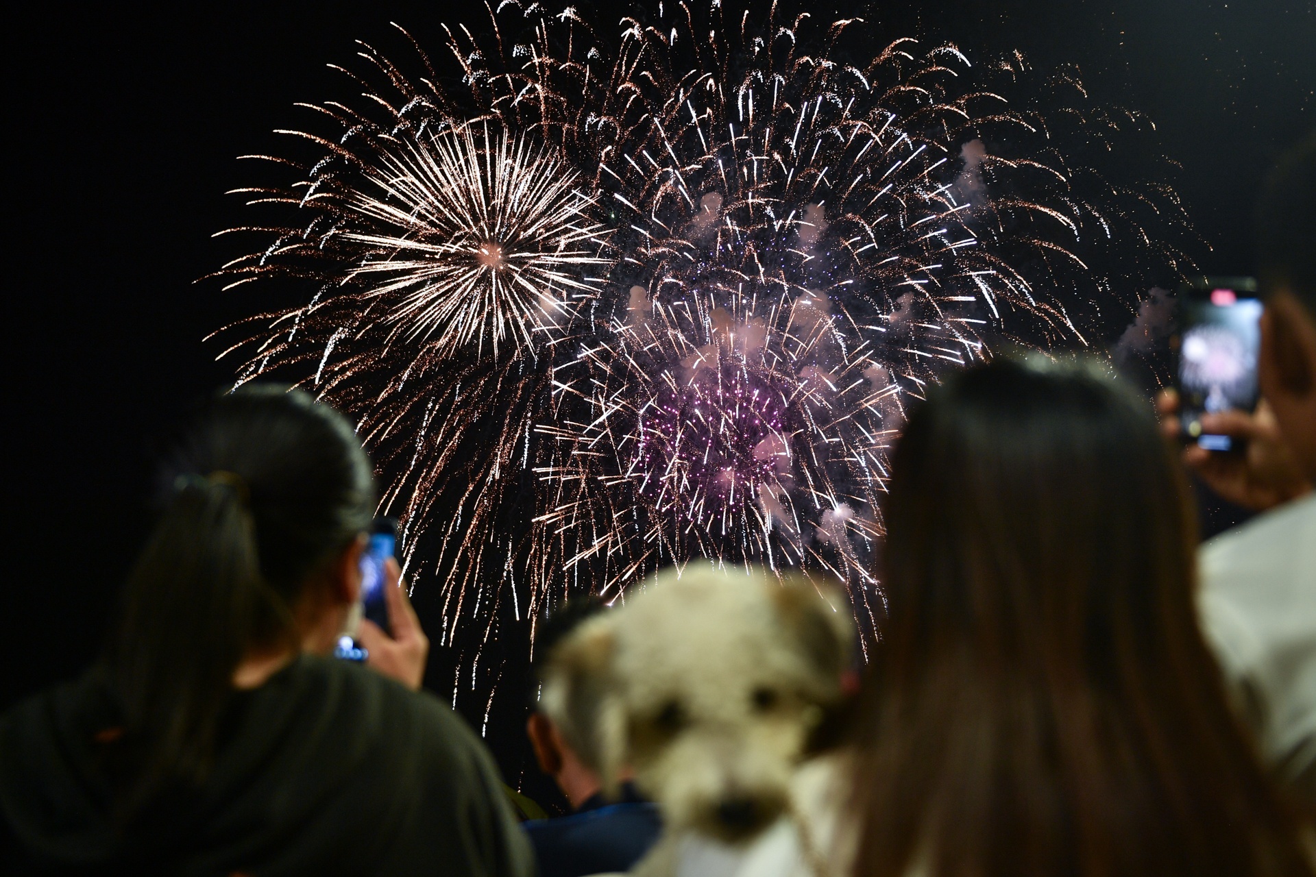 Phao hoa TP.HCM chao 2023 anh 7