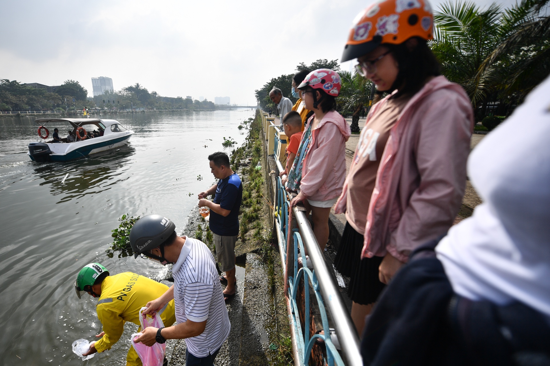 ca chep ong Tao anh 7