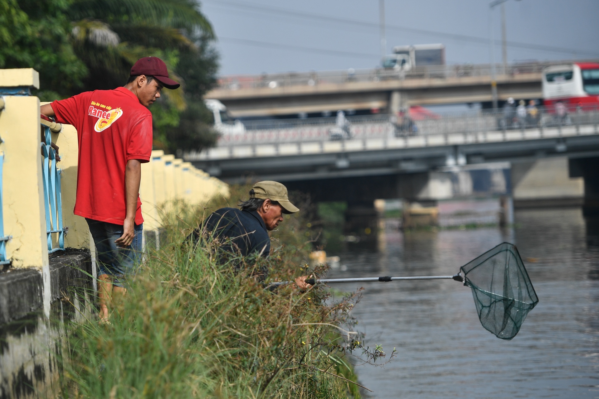ca chep ong Tao anh 3