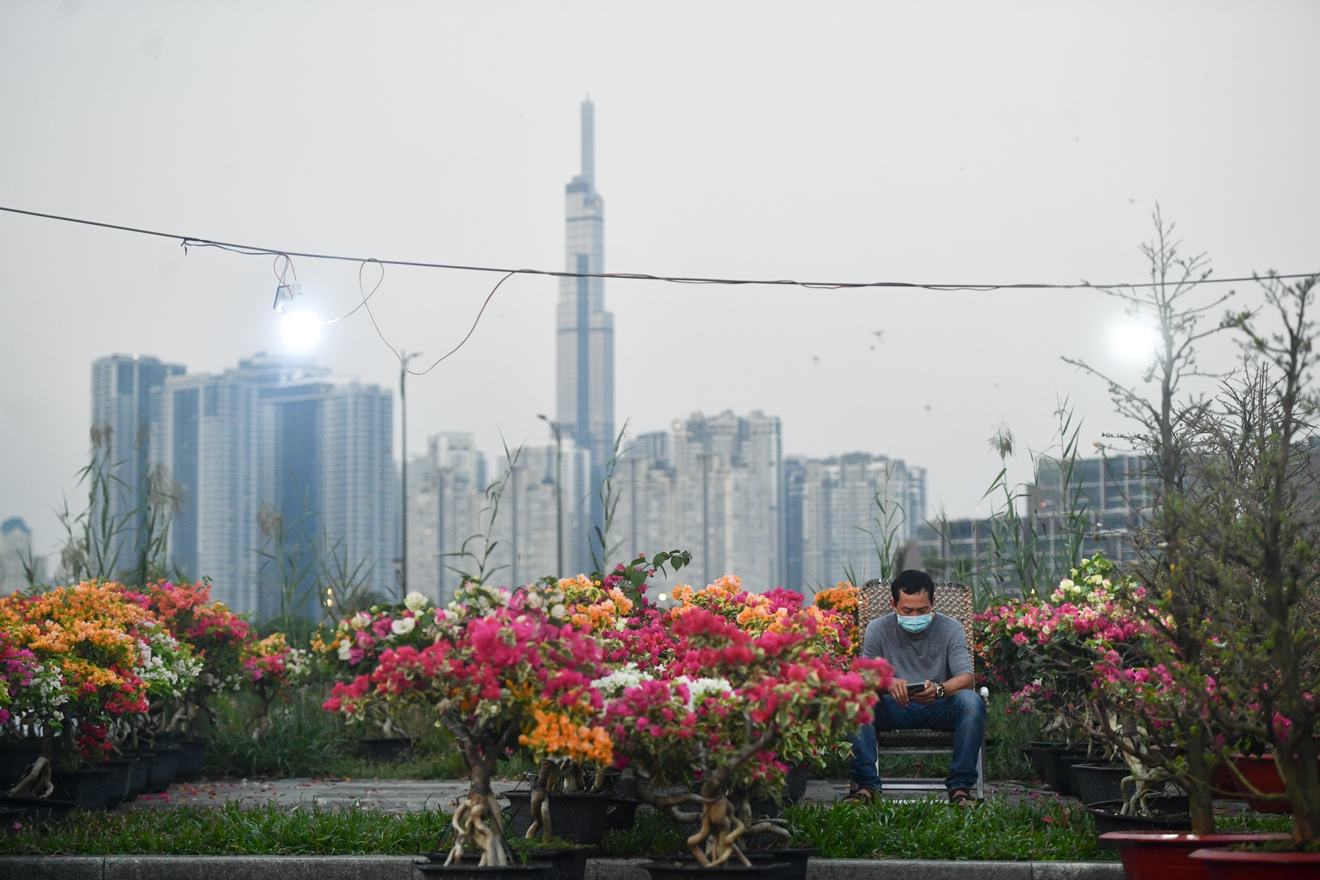 cho hoa TP Thu Duc anh 7