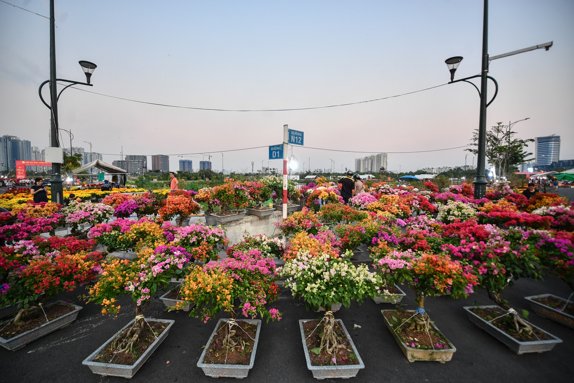 cho hoa TP Thu Duc anh 5