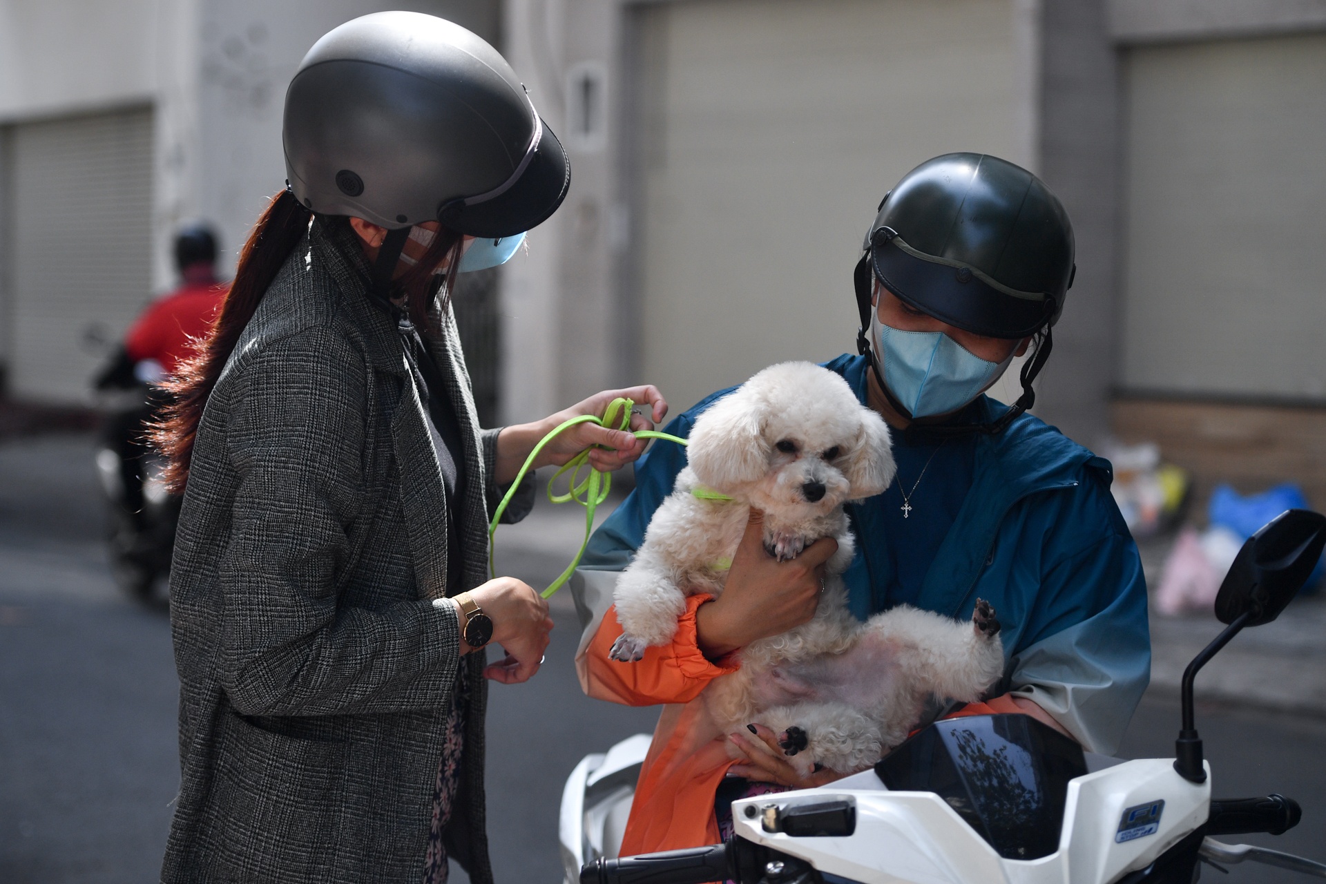 gui thu cung dip Tet anh 4