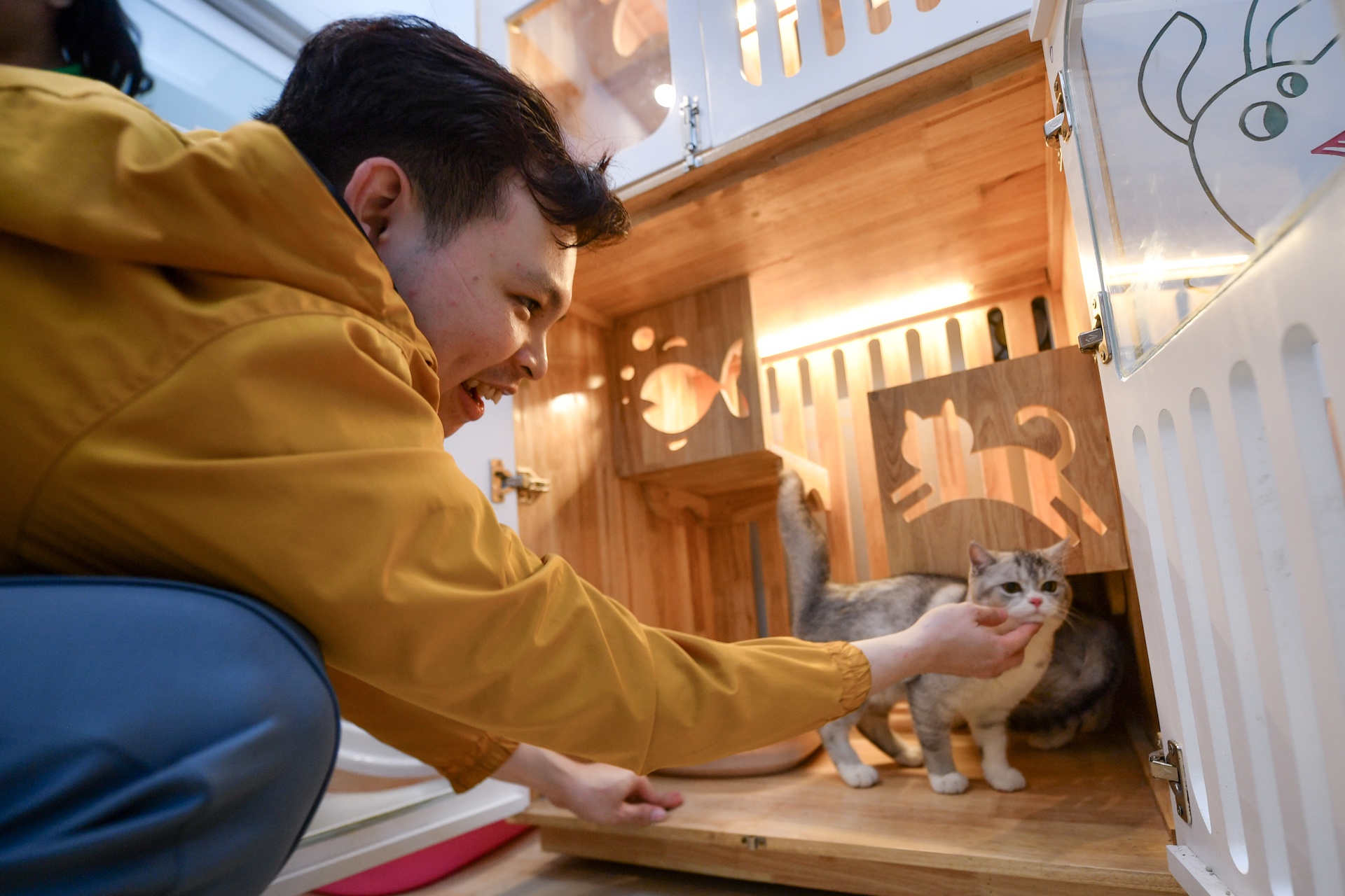 gui thu cung dip Tet anh 8