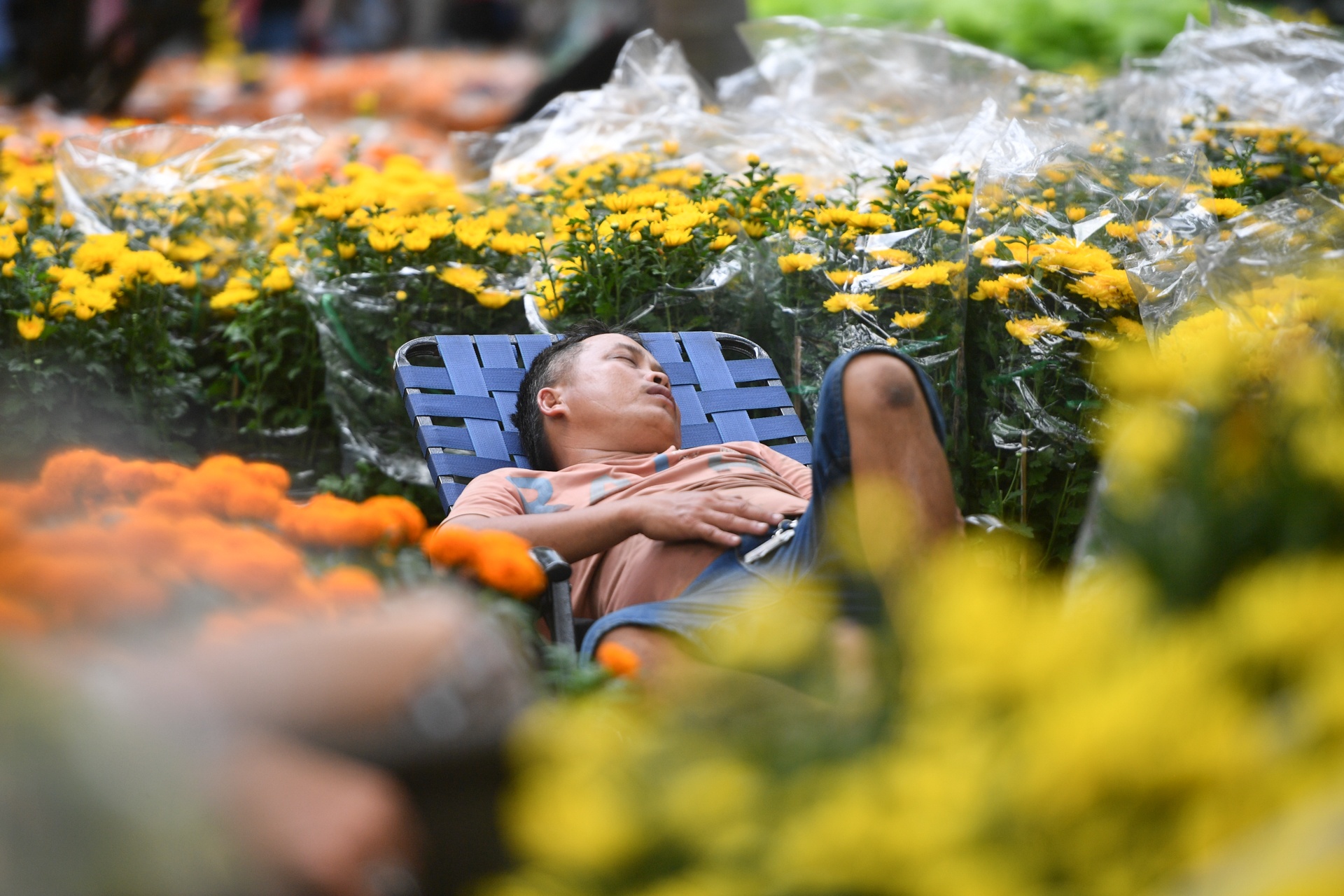 cho hoa TP.HCM e am anh 2