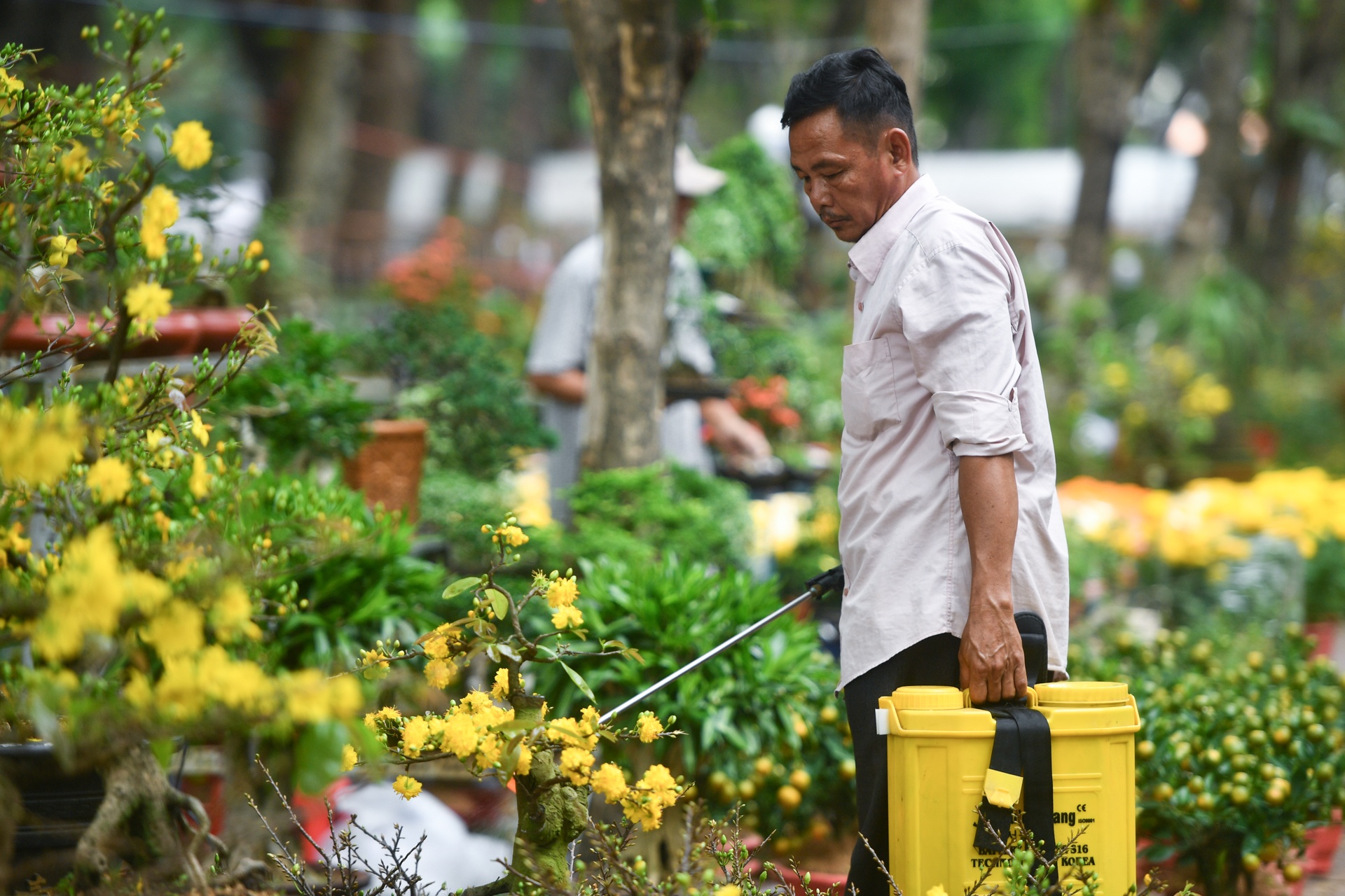 cho hoa TP.HCM e am anh 7