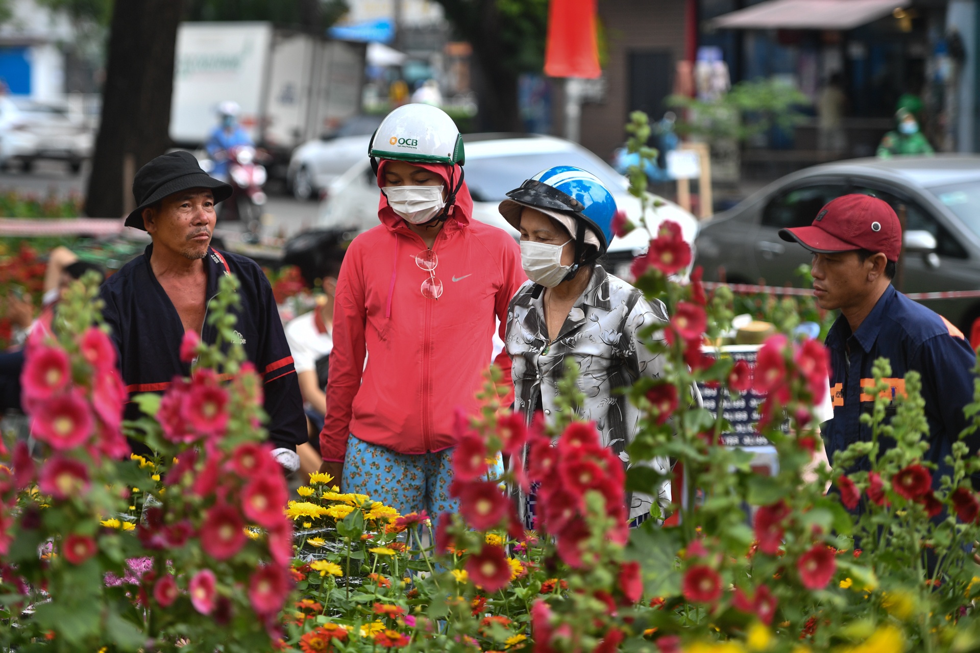 cho hoa TP.HCM e am anh 5