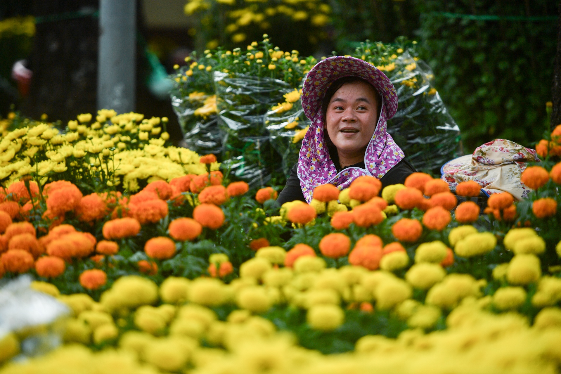 cho hoa TP.HCM e am anh 6